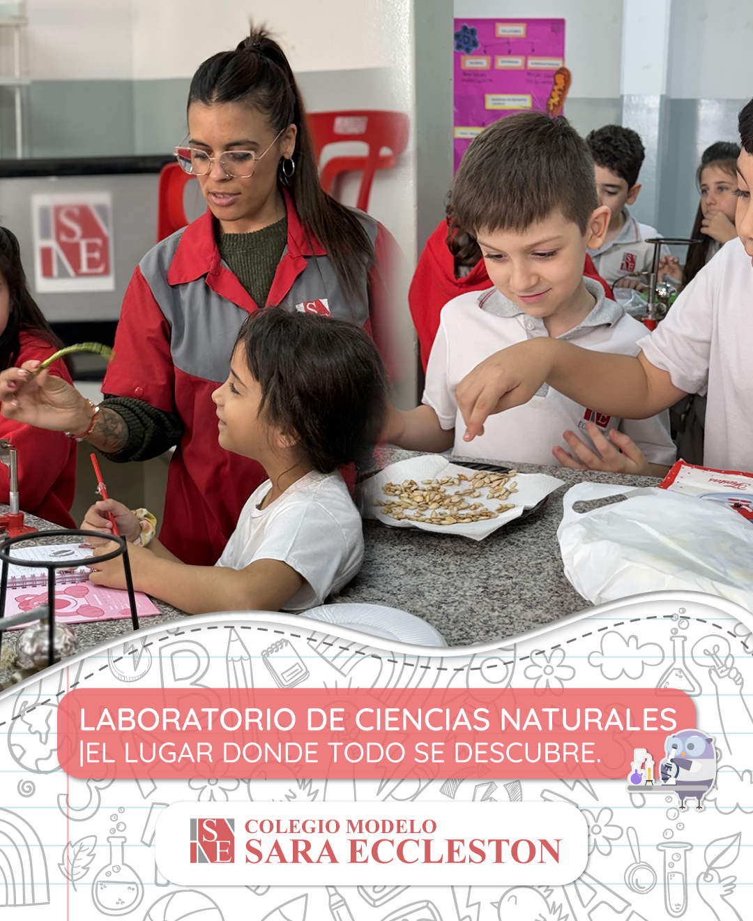 El lugar donde todo se descubre
